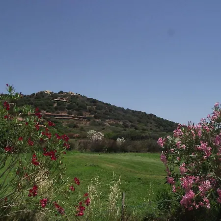 I Girasoli Tany&simo Appartement *